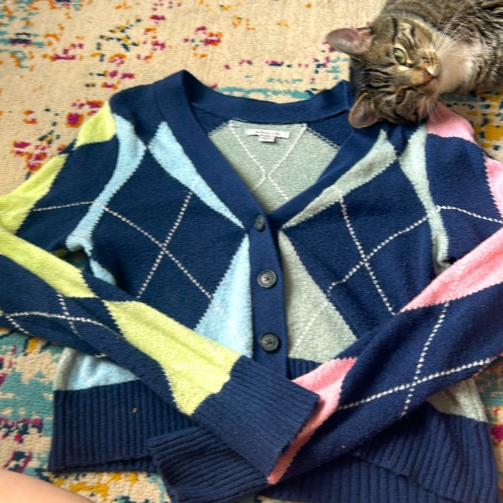 Eclectic American Eagle sweater